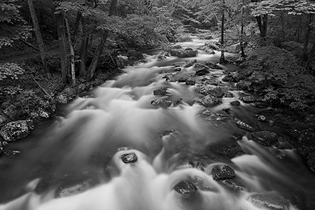 Little Stoney Creek in Spring, Giles County, VA